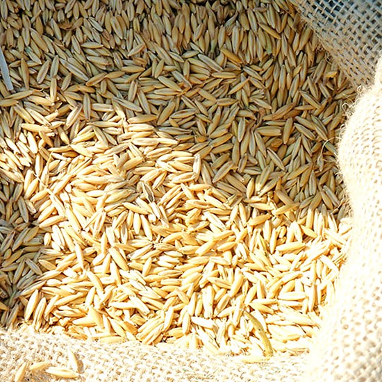 Spelt flour